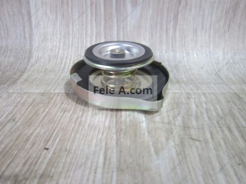 Buson radiator mare  /ORIGINAL/ 
